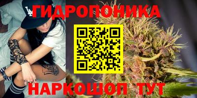 скорость Бийск