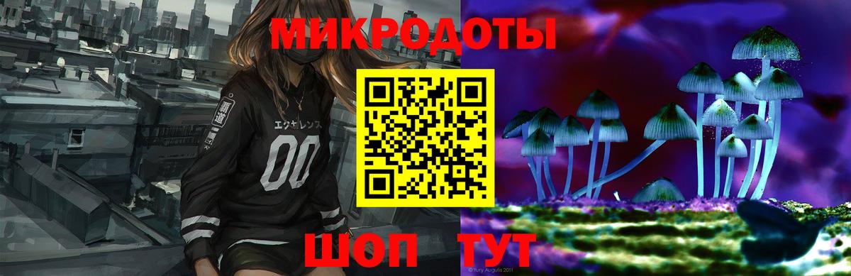 Псилоцибиновые грибы Cubensis  Псилоцибиновые грибы мицелий  Ишим  Вход с VPN 